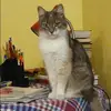 Отзыв от Таисия Лаврова